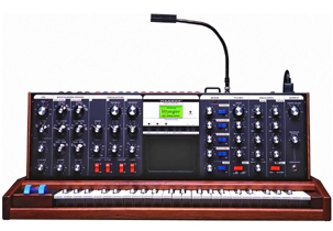Moog Minimoog Voyager - Performer Edition