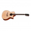 Eastman PCH1-GACE Nat