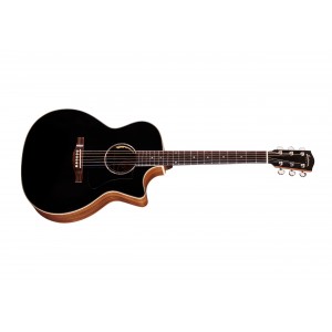Eastman PCH2-GACE BK