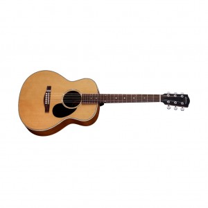 Eastman PCH2-TG 